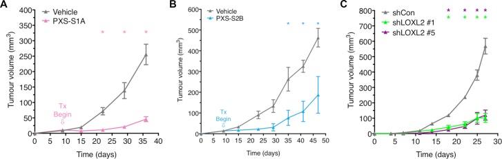 https://cdn.ncbi.nlm.nih.gov/pmc/blobs/1a82/5432238/c96bf05695c8/oncotarget-08-26066-g004.jpg