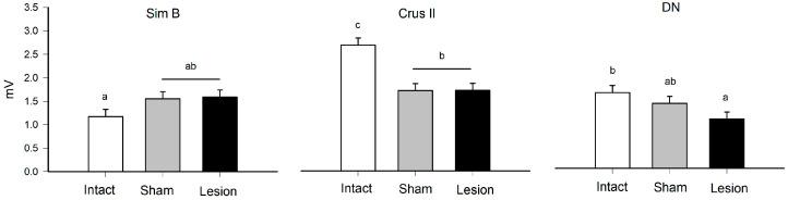 https://cdn.ncbi.nlm.nih.gov/pmc/blobs/1a84/10136692/0f53e6d0434d/brainsci-13-00537-g002.jpg