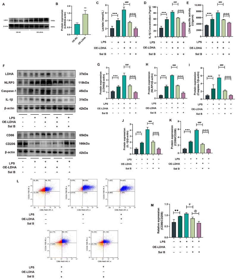 https://cdn.ncbi.nlm.nih.gov/pmc/blobs/1a85/10780734/9aa16d8c4a4f/molecules-29-00236-g003.jpg