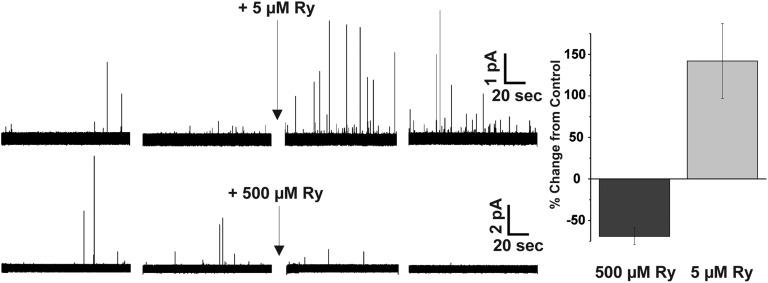 https://cdn.ncbi.nlm.nih.gov/pmc/blobs/1a87/4035742/094adf7feb97/JGP_201311110_Fig6.jpg