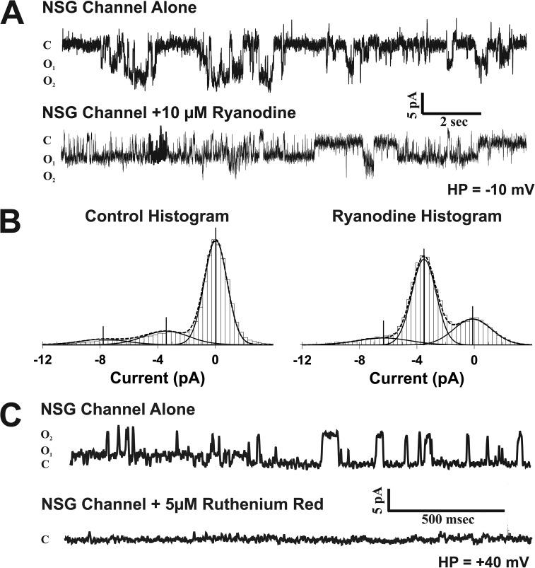 https://cdn.ncbi.nlm.nih.gov/pmc/blobs/1a87/4035742/546db1fb39e0/JGP_201311110_Fig4.jpg