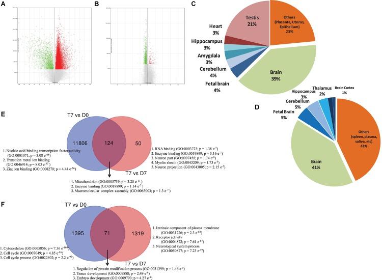 https://cdn.ncbi.nlm.nih.gov/pmc/blobs/1a87/6667736/7f1a2297be0d/fnins-13-00779-g001.jpg