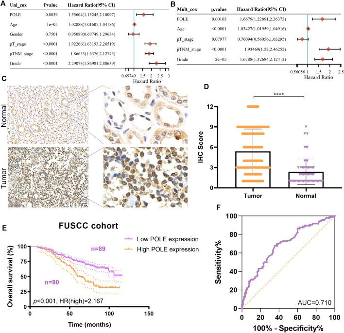 https://cdn.ncbi.nlm.nih.gov/pmc/blobs/1a89/8689073/0549f8a59300/fgene-12-751977-g006.jpg