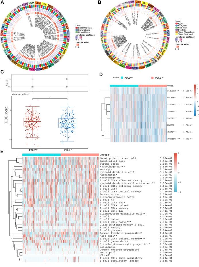 https://cdn.ncbi.nlm.nih.gov/pmc/blobs/1a89/8689073/a8619d92bc32/fgene-12-751977-g008.jpg
