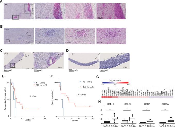 https://cdn.ncbi.nlm.nih.gov/pmc/blobs/1a8b/10194136/52651606de82/crc-22-0490_fig6.jpg