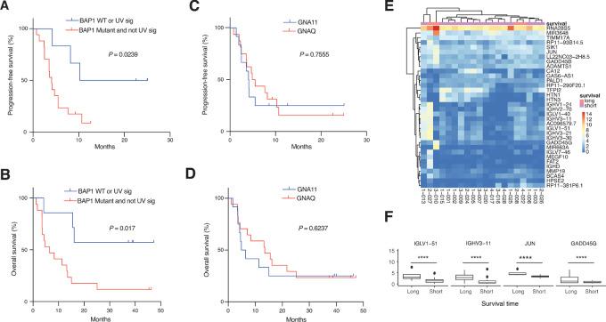 https://cdn.ncbi.nlm.nih.gov/pmc/blobs/1a8b/10194136/89bfc28aee61/crc-22-0490_fig2.jpg