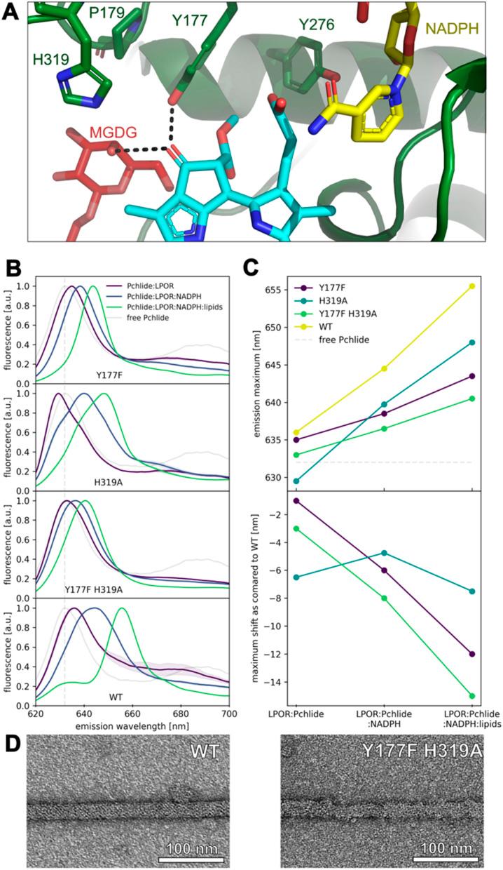 https://cdn.ncbi.nlm.nih.gov/pmc/blobs/1a8c/11110527/ee93033ed16a/d4sc00923a-f7.jpg