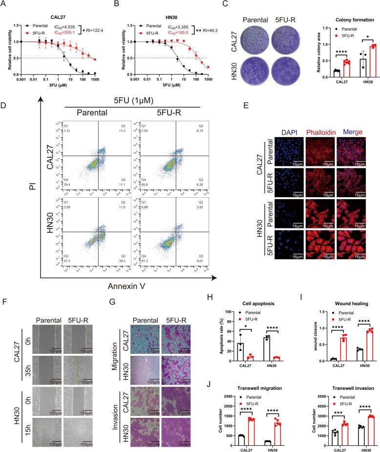 https://cdn.ncbi.nlm.nih.gov/pmc/blobs/1a8d/11071218/6c0f3a91690d/12885_2024_12318_Fig1_HTML.jpg