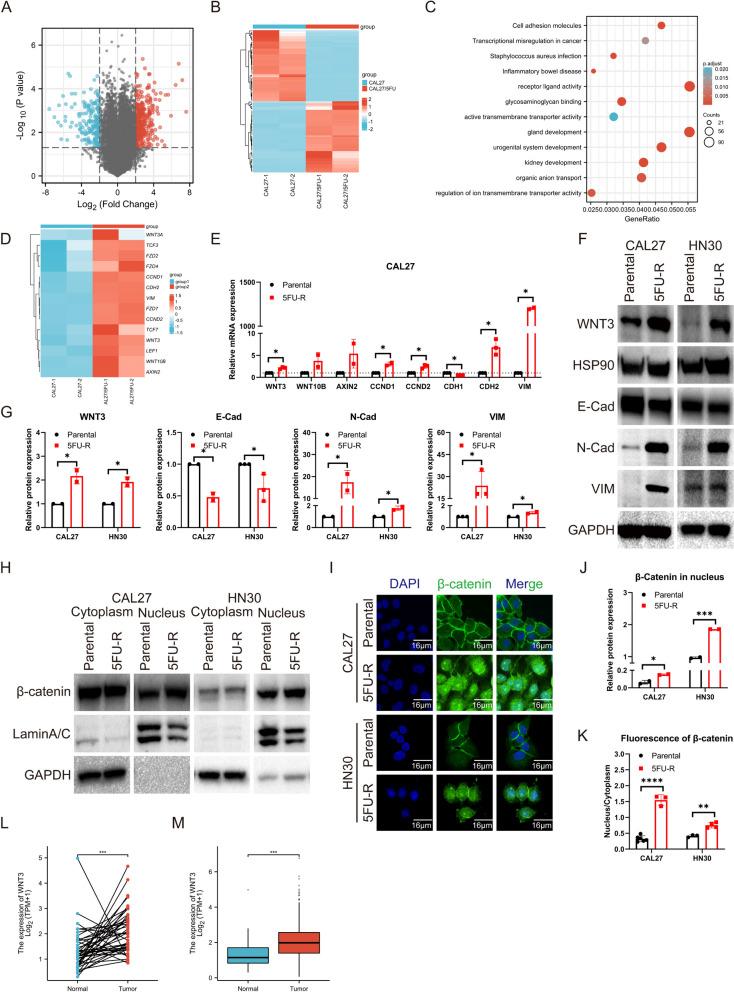 https://cdn.ncbi.nlm.nih.gov/pmc/blobs/1a8d/11071218/866a516e3fea/12885_2024_12318_Fig2_HTML.jpg