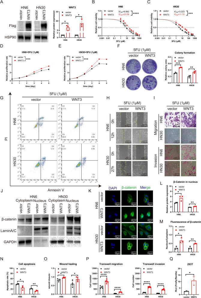 https://cdn.ncbi.nlm.nih.gov/pmc/blobs/1a8d/11071218/b6231db56e78/12885_2024_12318_Fig4_HTML.jpg