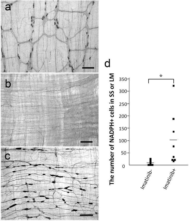 https://cdn.ncbi.nlm.nih.gov/pmc/blobs/1a8d/5004190/08d355895583/srep32100-f6.jpg