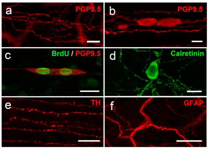 https://cdn.ncbi.nlm.nih.gov/pmc/blobs/1a8d/5004190/198df4774040/srep32100-f3.jpg