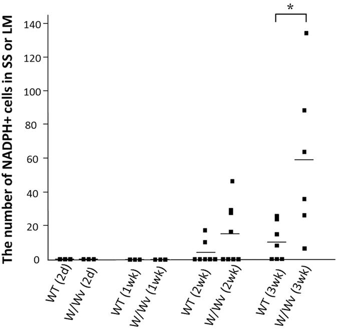 https://cdn.ncbi.nlm.nih.gov/pmc/blobs/1a8d/5004190/450abd1fdf2f/srep32100-f5.jpg
