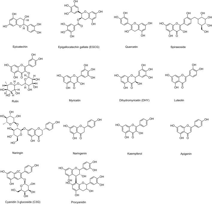 https://cdn.ncbi.nlm.nih.gov/pmc/blobs/1a8e/12310634/3a9c80a237af/fphar-16-1599756-g002.jpg