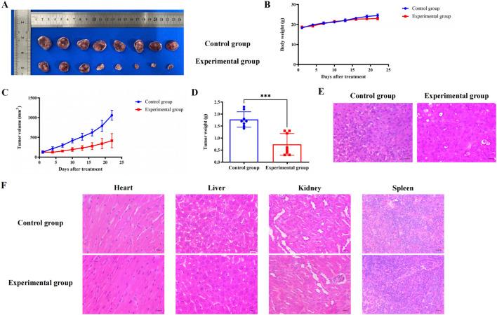 https://cdn.ncbi.nlm.nih.gov/pmc/blobs/1a92/11534688/1953c72ff1ea/fphar-15-1434812-g010.jpg