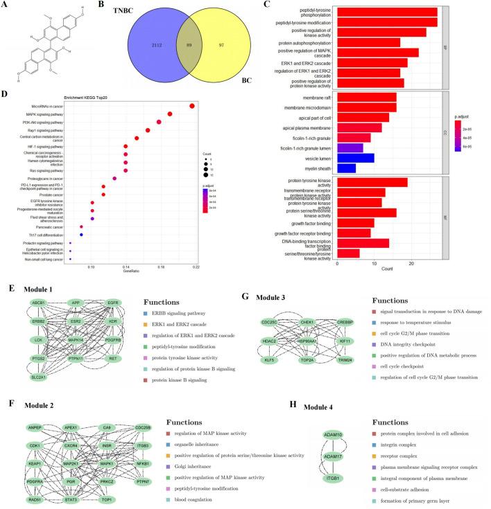 https://cdn.ncbi.nlm.nih.gov/pmc/blobs/1a92/11534688/30ce1d761cbb/fphar-15-1434812-g001.jpg