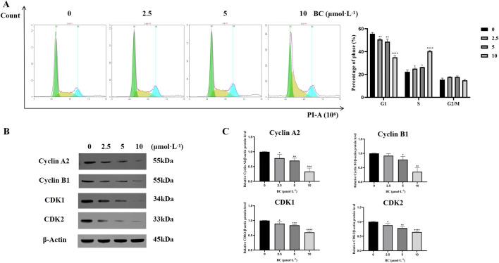 https://cdn.ncbi.nlm.nih.gov/pmc/blobs/1a92/11534688/404ae720a4b4/fphar-15-1434812-g008.jpg