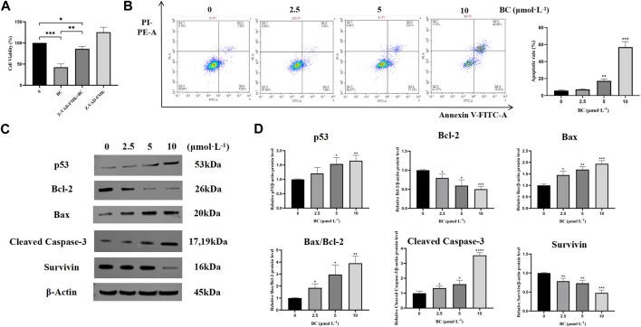 https://cdn.ncbi.nlm.nih.gov/pmc/blobs/1a92/11534688/7443220e6fd6/fphar-15-1434812-g007.jpg