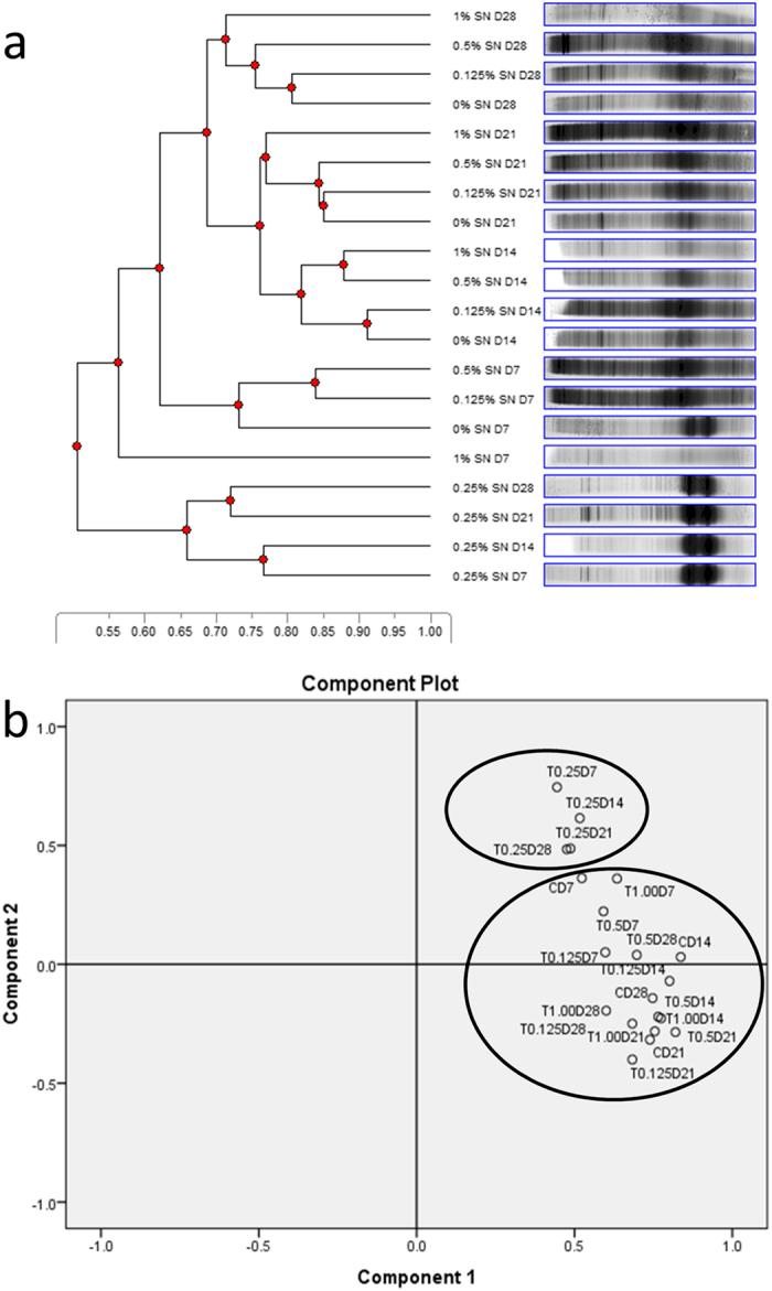 https://cdn.ncbi.nlm.nih.gov/pmc/blobs/1a93/4476420/64cc83c011f4/srep11515-f5.jpg