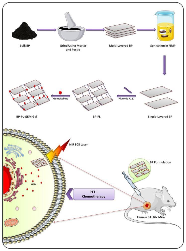 https://cdn.ncbi.nlm.nih.gov/pmc/blobs/1a94/9688887/6c26130412ae/biosensors-12-01009-g007.jpg