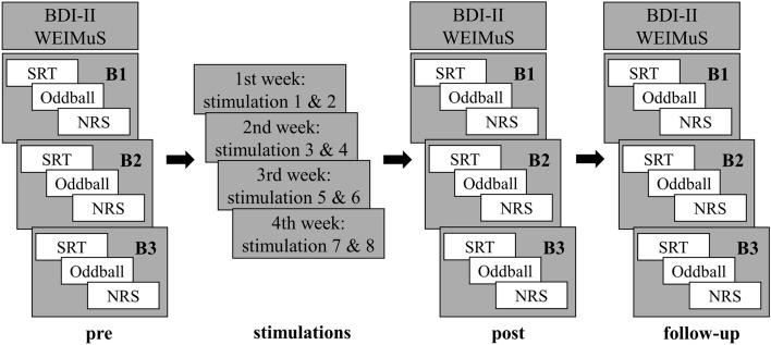 https://cdn.ncbi.nlm.nih.gov/pmc/blobs/1a98/10090173/802975312a17/41598_2023_32779_Fig2_HTML.jpg