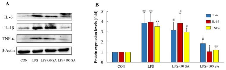 https://cdn.ncbi.nlm.nih.gov/pmc/blobs/1a98/11431537/8fe9182dcf71/foods-13-02984-g008.jpg