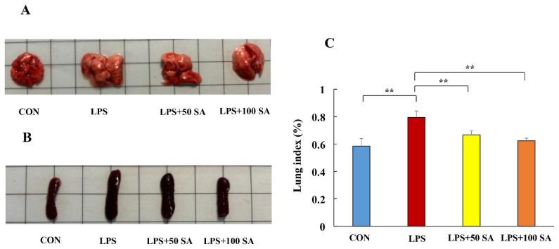 https://cdn.ncbi.nlm.nih.gov/pmc/blobs/1a98/11431537/b8af302bf526/foods-13-02984-g002.jpg