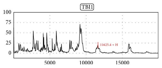 https://cdn.ncbi.nlm.nih.gov/pmc/blobs/1a9b/4600481/06ebd3d69e45/BMRI2015-183821.002.jpg