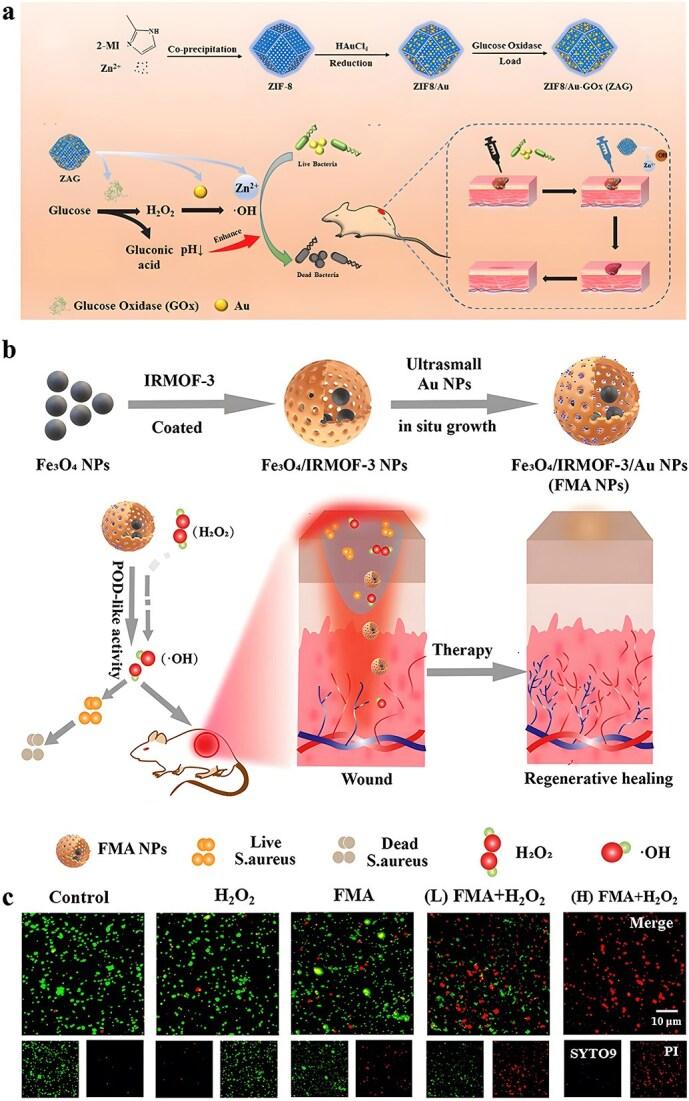 https://cdn.ncbi.nlm.nih.gov/pmc/blobs/1a9d/12018305/b57a32970443/tkaf008f7.jpg