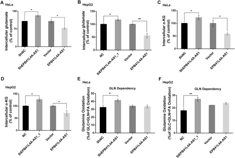 https://cdn.ncbi.nlm.nih.gov/pmc/blobs/1a9d/6444057/3659a654b583/gr5.jpg