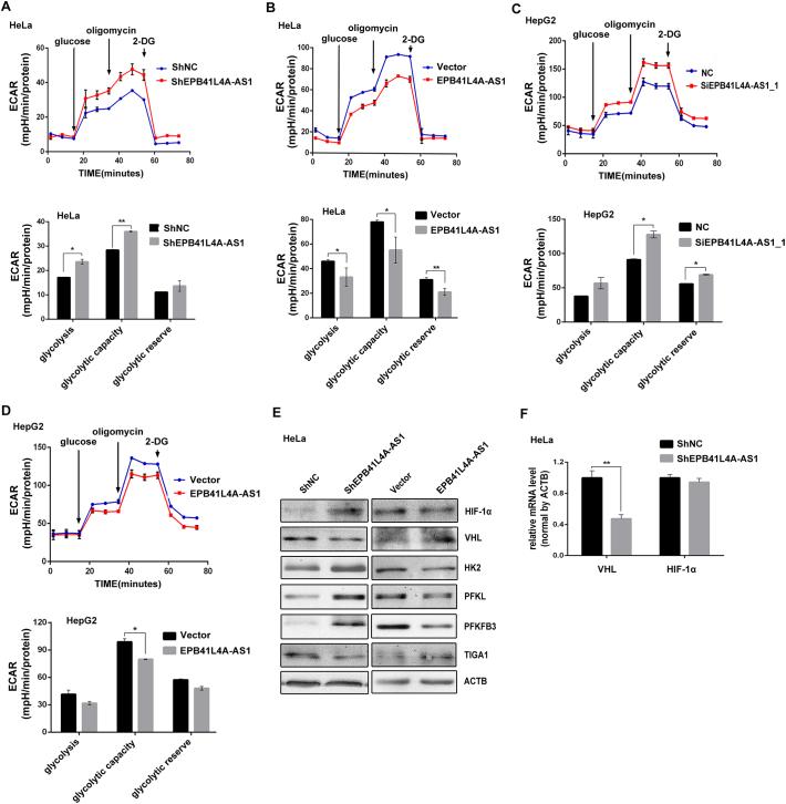 https://cdn.ncbi.nlm.nih.gov/pmc/blobs/1a9d/6444057/87505cc77250/gr4.jpg