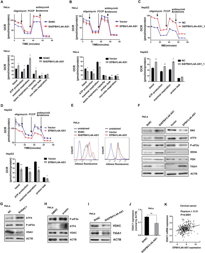 https://cdn.ncbi.nlm.nih.gov/pmc/blobs/1a9d/6444057/d84923c7e0d0/gr6.jpg
