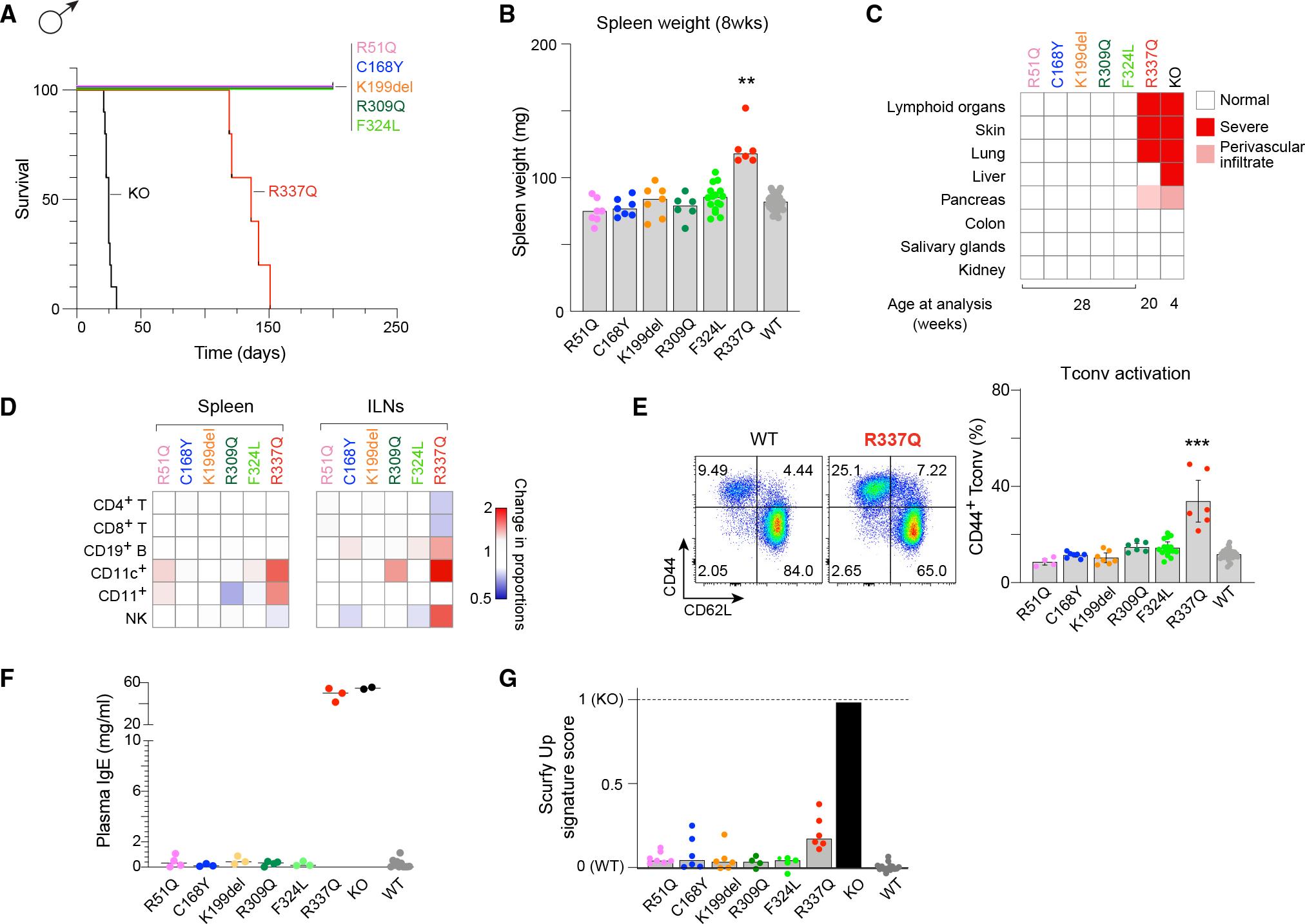 https://cdn.ncbi.nlm.nih.gov/pmc/blobs/1a9e/10565790/689ea5f4c575/nihms-1928306-f0005.jpg