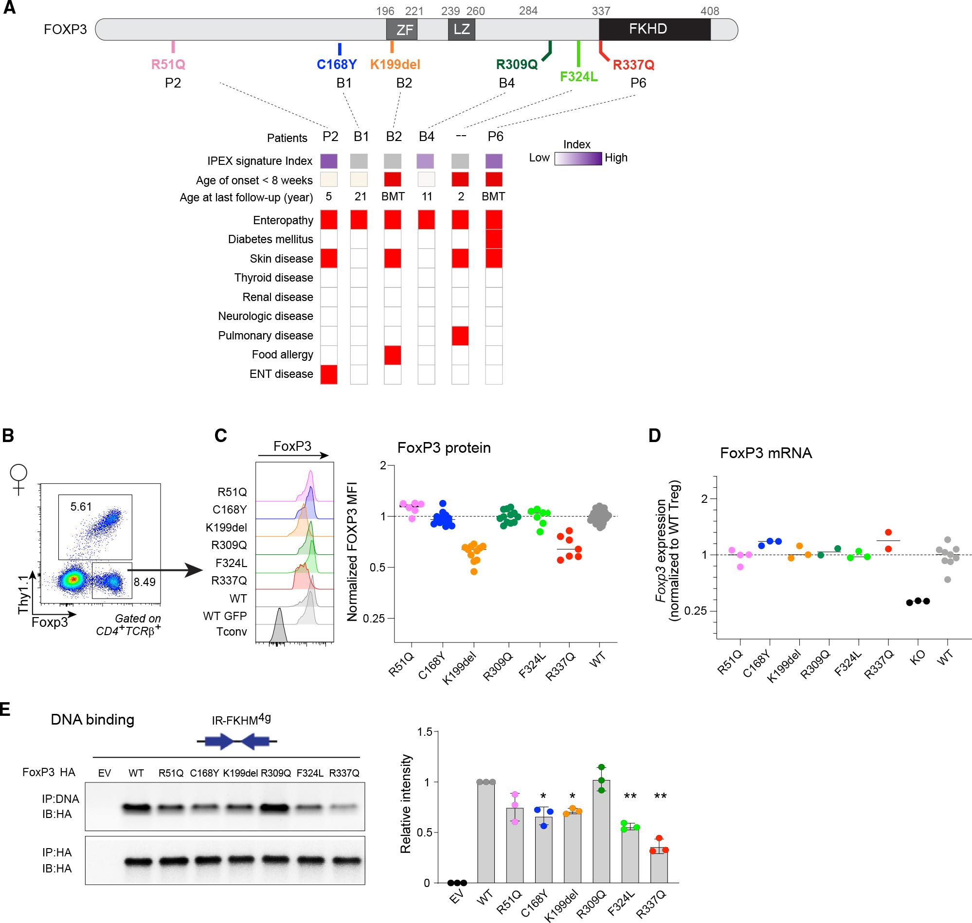 https://cdn.ncbi.nlm.nih.gov/pmc/blobs/1a9e/10565790/6d179cb7c0dd/nihms-1928306-f0002.jpg