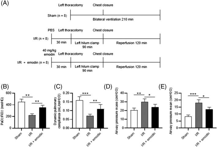 https://cdn.ncbi.nlm.nih.gov/pmc/blobs/1a9f/9978909/cea32514610f/CRJ-17-241-g005.jpg