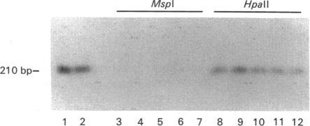 https://cdn.ncbi.nlm.nih.gov/pmc/blobs/1aa3/1151091/bb8958183ebc/biochemj00158-0039-c.jpg