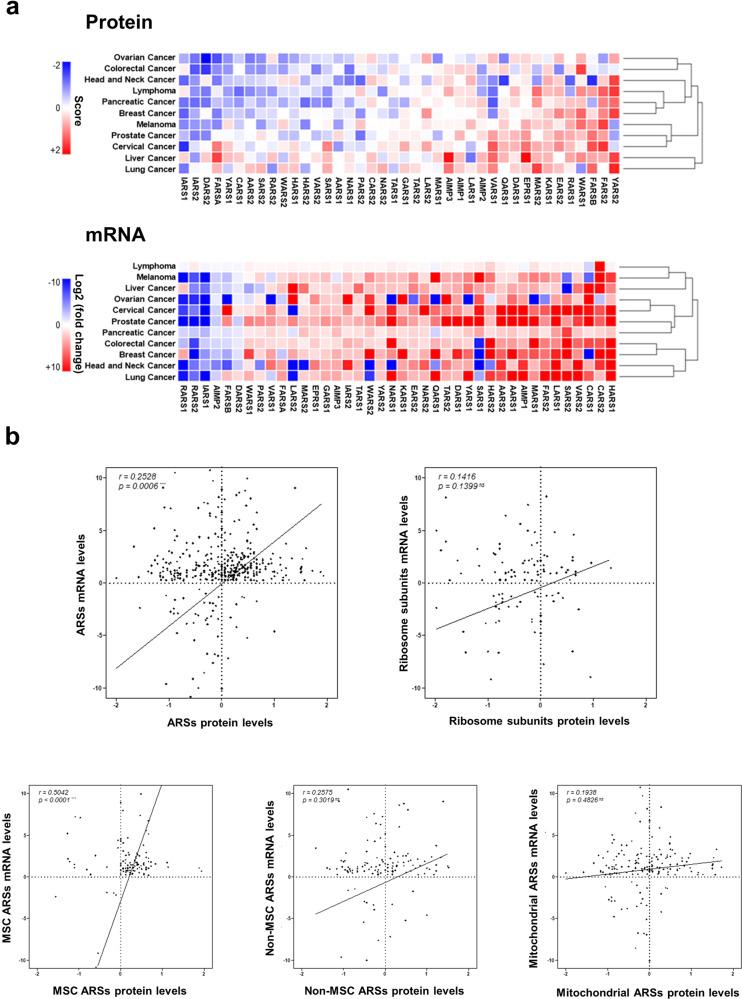 https://cdn.ncbi.nlm.nih.gov/pmc/blobs/1aa4/9166799/0926ff2ab584/12276_2022_765_Fig3_HTML.jpg