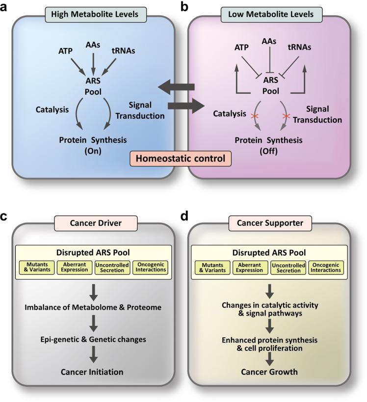 https://cdn.ncbi.nlm.nih.gov/pmc/blobs/1aa4/9166799/ca305447912e/12276_2022_765_Fig7_HTML.jpg