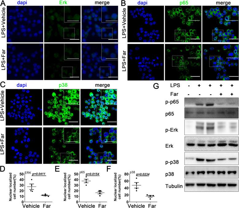 https://cdn.ncbi.nlm.nih.gov/pmc/blobs/1aa5/8120707/82fea279ec47/13075_2021_2512_Fig4_HTML.jpg