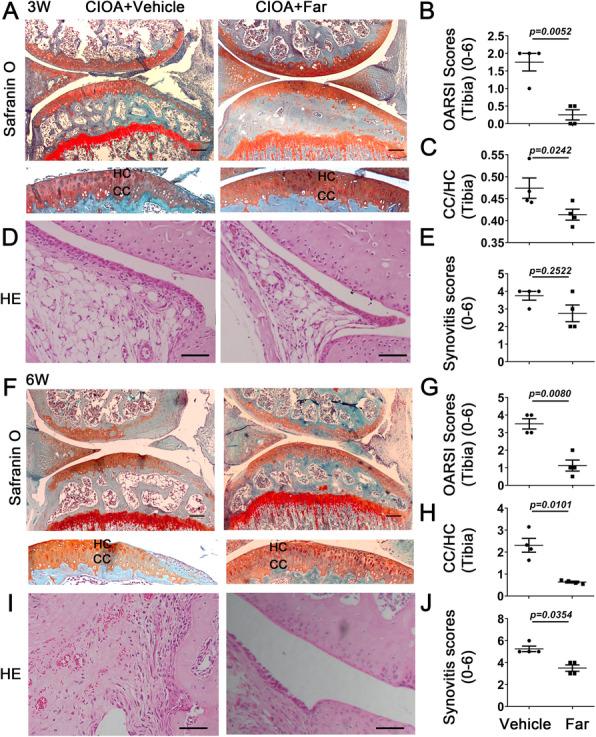 https://cdn.ncbi.nlm.nih.gov/pmc/blobs/1aa5/8120707/8b9c428f1bbd/13075_2021_2512_Fig1_HTML.jpg