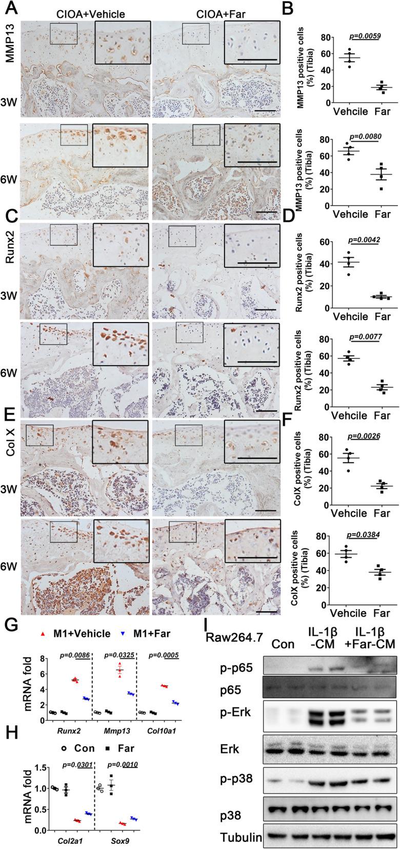 https://cdn.ncbi.nlm.nih.gov/pmc/blobs/1aa5/8120707/8c6b8c5d58cc/13075_2021_2512_Fig5_HTML.jpg