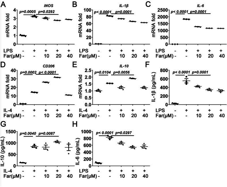 https://cdn.ncbi.nlm.nih.gov/pmc/blobs/1aa5/8120707/c5f6cb0b5a61/13075_2021_2512_Fig2_HTML.jpg
