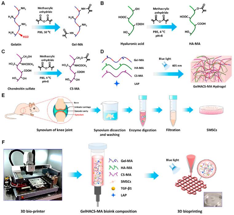 https://cdn.ncbi.nlm.nih.gov/pmc/blobs/1aa6/11274544/264203dd1cf2/biomolecules-14-00858-g008.jpg