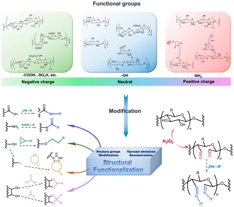 https://cdn.ncbi.nlm.nih.gov/pmc/blobs/1aa6/11274544/5e1b3080c220/biomolecules-14-00858-g003.jpg