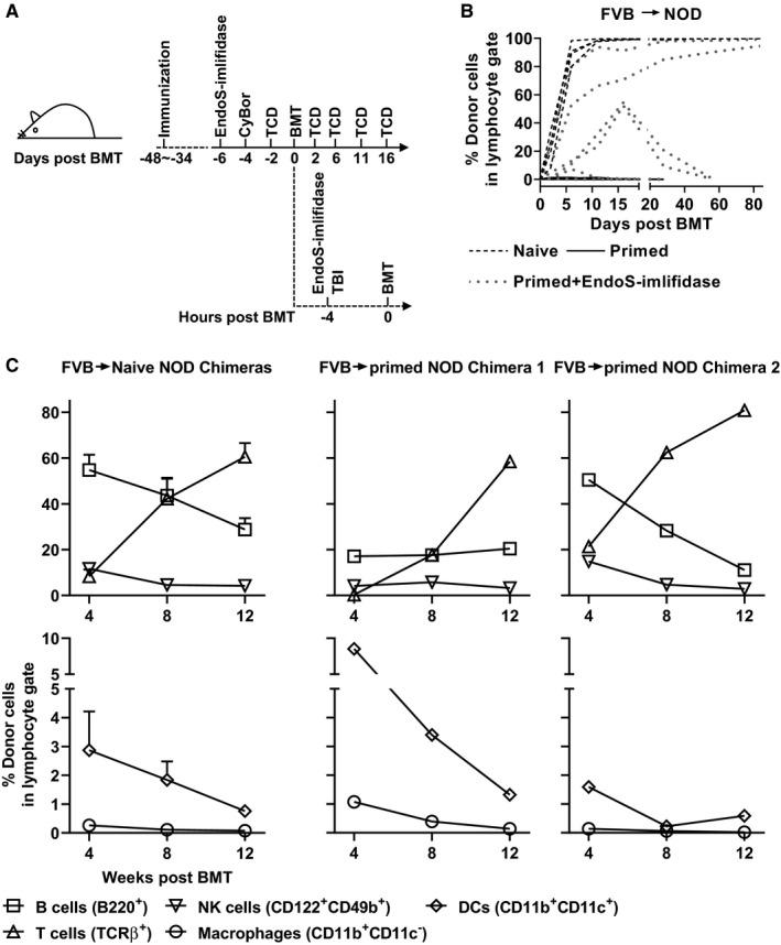 https://cdn.ncbi.nlm.nih.gov/pmc/blobs/1aa6/7496317/bf555e2b17da/AJT-20-2356-g004.jpg