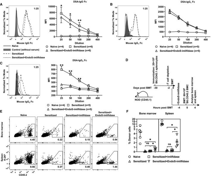 https://cdn.ncbi.nlm.nih.gov/pmc/blobs/1aa6/7496317/d5d525bf8a1a/AJT-20-2356-g002.jpg