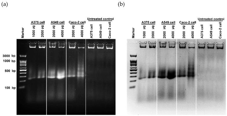 https://cdn.ncbi.nlm.nih.gov/pmc/blobs/1aa6/9774153/23ae7fd08d73/antioxidants-11-02437-g006.jpg