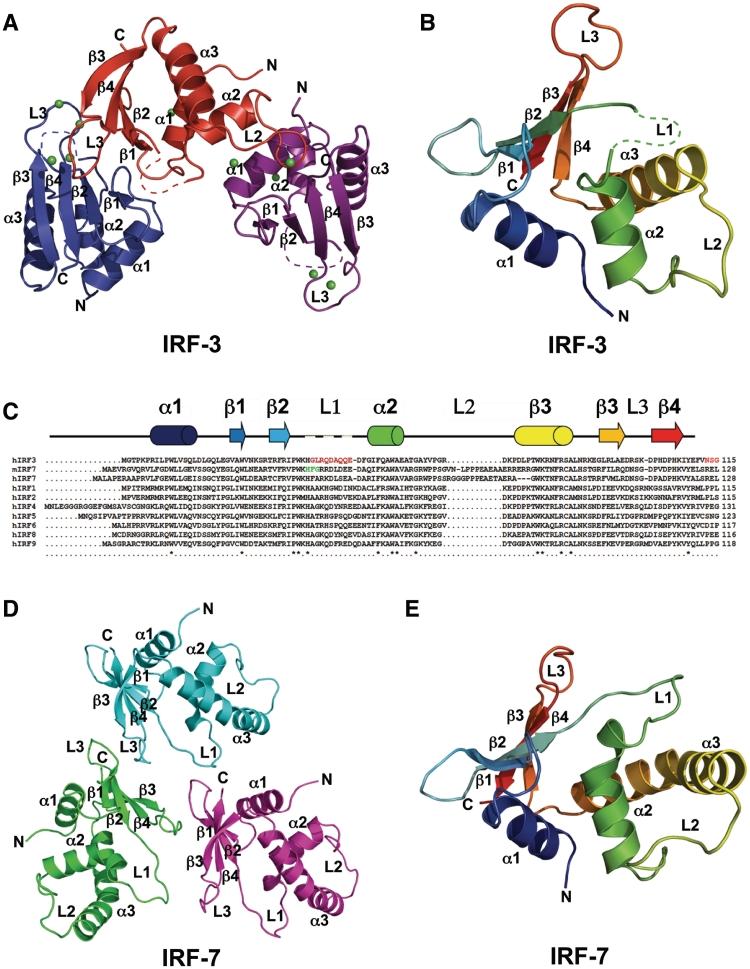 https://cdn.ncbi.nlm.nih.gov/pmc/blobs/1aa7/3167601/5bd587b47c3b/gkr325f1.jpg