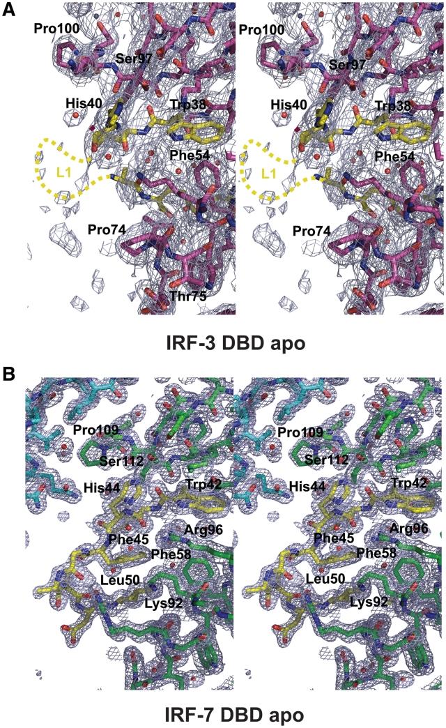 https://cdn.ncbi.nlm.nih.gov/pmc/blobs/1aa7/3167601/6e678c2f65fd/gkr325f2.jpg