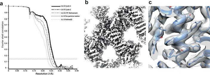https://cdn.ncbi.nlm.nih.gov/pmc/blobs/1aa7/9815803/f3567101737e/elife-83724-fig3.jpg